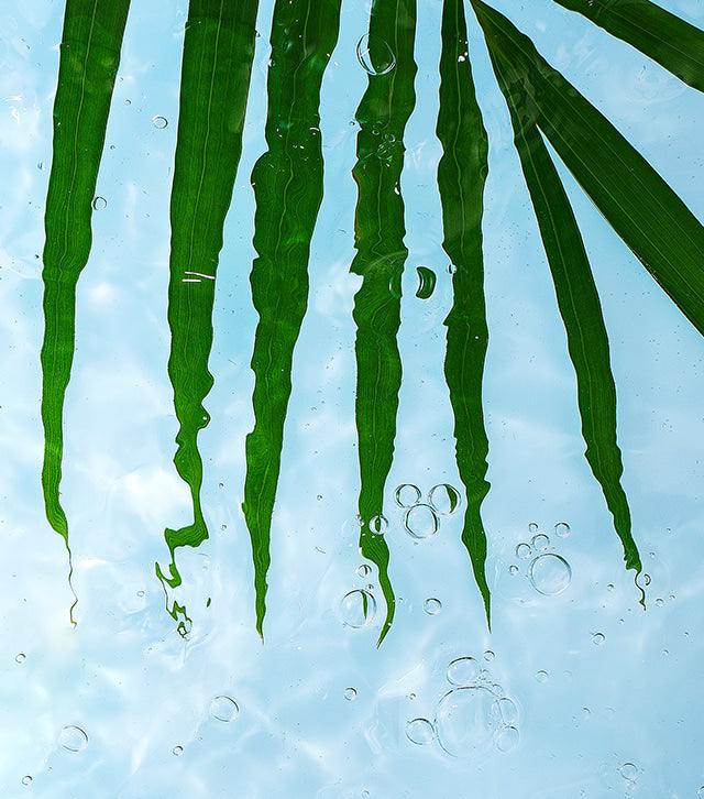 Strengthening the skin’s barrier for healthy skin